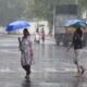 Madhya Pradesh Monsoon,MP Rain Alert,Heavy Rain MP IMD Madhya Pradesh,Monsoon Update MP