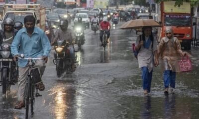 मध्य प्रदेश बारिश, MP Weather, मानसून 2026, IMD, मध्य प्रदेश मौसम, बारिश का अलर्ट, जबलपुर, रीवा, भोपाल, इंदौर, वेस्टर्न डिस्टरबेंस, MP Rain Update, Monsoon News