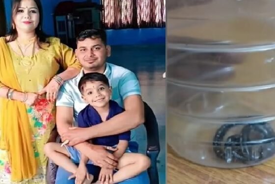 मेरठ, मेरठ हत्या, सांप से हत्या, करैत सांप, स्कूल संचालक, दामिनी, तुषार पायला, उत्तर प्रदेश अपराध, Meerut Crime, UP News