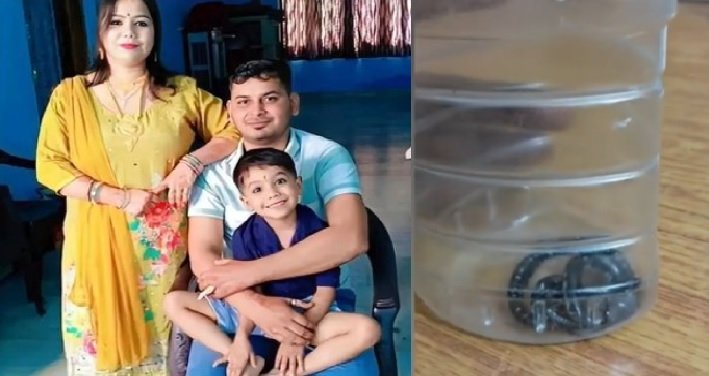 मेरठ, मेरठ हत्या, सांप से हत्या, करैत सांप, स्कूल संचालक, दामिनी, तुषार पायला, उत्तर प्रदेश अपराध, Meerut Crime, UP News