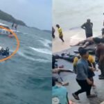 वियतनाम बोट हादसा, फु क्वोक, भारतीय पर्यटक, स्पीडबोट दुर्घटना, नरेंद्र मोदी, भारतीय दूतावास, वियतनाम न्यूज, विश्व समाचार, Phu Quoc, Vietnam Boat Accident, India News, World News