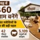 Chhattisgarh Gaudham Yojana, Gaudham Scheme, Chhattisgarh News, Cow Shelter, Stray Cattle, CG Government, Gaushala, Rural Economy, Livestock Development, Hindi News