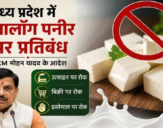 मध्य प्रदेश एनालॉग पनीर बैन, एनालॉग पनीर प्रतिबंध, मोहन यादव, मुख्यमंत्री मोहन यादव, MP News, Analog Paneer Ban, Madhya Pradesh News, असली पनीर, नकली पनीर, खाद्य एवं नागरिक आपूर्ति विभाग, पनीर पर प्रतिबंध, दूध से बना पनीर, महाराष्ट्र, गुजरात, छत्तीसगढ़