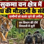 सुकमा में बाघ, Sukma Tiger News, सुकमा वन क्षेत्र बाघ, छत्तीसगढ़ बाघ, सुकमा जंगल, बाघ के पगमार्क, Sukma Forest News, Chhattisgarh Tiger Alert
