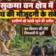 सुकमा में बाघ, Sukma Tiger News, सुकमा वन क्षेत्र बाघ, छत्तीसगढ़ बाघ, सुकमा जंगल, बाघ के पगमार्क, Sukma Forest News, Chhattisgarh Tiger Alert