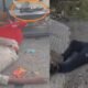 अंबिकापुर पुलिसकर्मी सस्पेंड, दुर्ग पुलिस, छत्तीसगढ़ पुलिस समाचार, अंबिकापुर कोतवाली