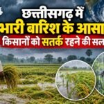 CG Weather Alert, छत्तीसगढ़ में भारी बारिश, चक्रवाती तूफान, किसान कृषि सलाह, धान की कटाई, रामविचार नेताम, IGKV Raipur