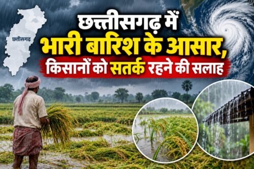 CG Weather Alert, छत्तीसगढ़ में भारी बारिश, चक्रवाती तूफान, किसान कृषि सलाह, धान की कटाई, रामविचार नेताम, IGKV Raipur