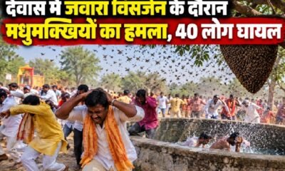 देवास मधुमक्खी हमला, देवास समाचार