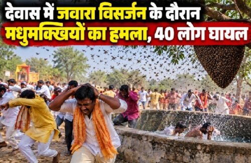 देवास मधुमक्खी हमला, देवास समाचार