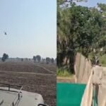 MP में हेलीकॉप्टर से पकड़े 97 कृष्णमृग, शुजालपुर में बोमा तकनीक से रेस्क्यू अभियान शुजालपुर कृष्णमृग रेस्क्यू, मध्यप्रदेश कृष्णमृग अभियान, बोमा तकनीक, हेलीकॉप्टर से कृष्णमृग रेस्क्यू, दक्षिण अफ्रीका विशेषज्ञ, हन्नूखेड़ी, फसल नुकसान, मध्यप्रदेश वन विभाग